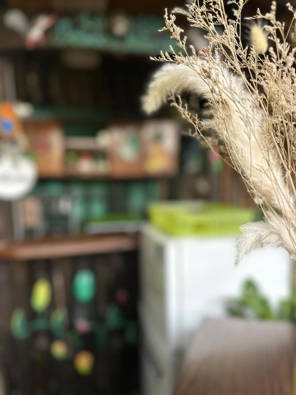 Hostel Rustico Marabi Tárcoles 外观 照片