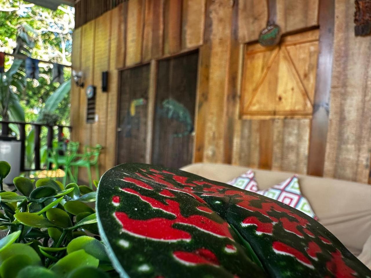 Hostel Rustico Marabi Tárcoles 外观 照片